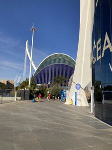 VALENCIA 01 2025 VAGUES DE SOLEILS, IMG_4188