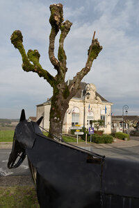 @fabienm@mastodon.zaclys.com 2025, Castillon-La-Bataille et ses environs