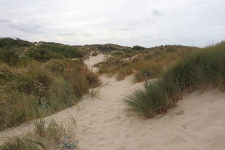 2019_0906 sentier côtier de Bray-Dunes à Etaples, IMG_0684 la dune marchand_z