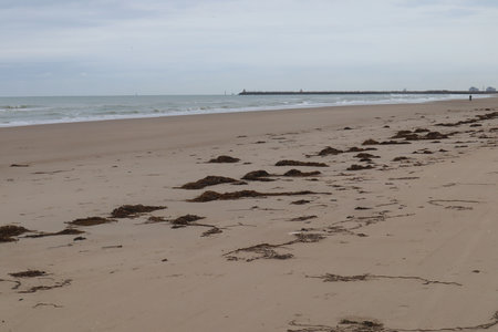 2019_0906 sentier côtier de Bray-Dunes à Etaples, IMG_0831 plage du platier d oye et digue de l’Aa_z