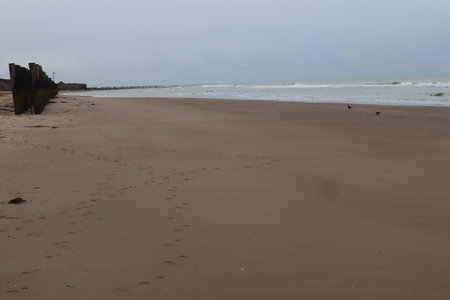 2019_0906 sentier côtier de Bray-Dunes à Etaples, IMG_0832 plage du platier d oye_z