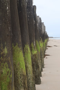 2019_0906 sentier côtier de Bray-Dunes à Etaples, IMG_0833 plage du platier d oye_z