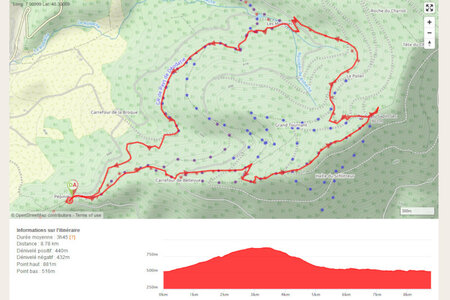 2005-2 randonnées, 067 L'Ormont, 24 juillet