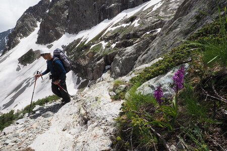 2020-06-17-19-refuge-du-sélé, montee-refuge-sele-alpinisme-alpes-aventure-2020-06-17-11