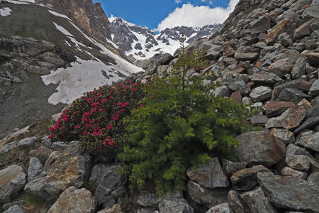 2020-06-17-19-refuge-du-sélé, montee-refuge-sele-alpinisme-alpes-aventure-2020-06-17-18