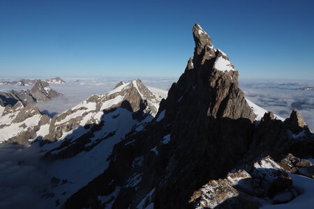 2020-06-29-07-03-meije, ascension-meije-orientale--alpinisme-alpes-aventure-2020-07-03-29