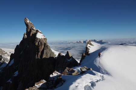 2020-06-29-07-03-meije, ascension-meije-orientale--alpinisme-alpes-aventure-2020-07-03-31
