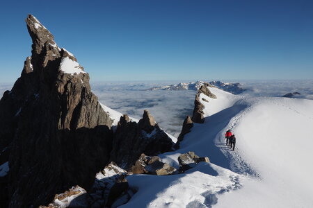 2020-06-29-07-03-meije, ascension-meije-orientale--alpinisme-alpes-aventure-2020-07-03-33