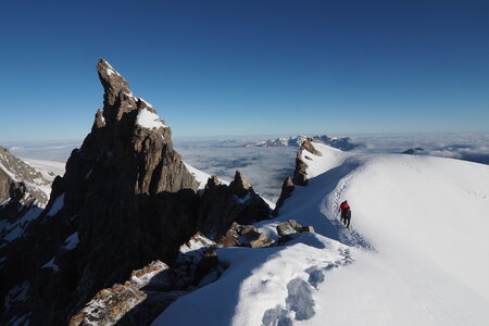 2020-06-29-07-03-meije, ascension-meije-orientale--alpinisme-alpes-aventure-2020-07-03-34