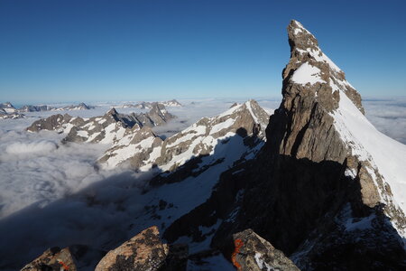 2020-06-29-07-03-meije, ascension-meije-orientale--alpinisme-alpes-aventure-2020-07-03-44